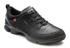 BIOM WALKER W