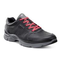BIOM EVO TRAINER M