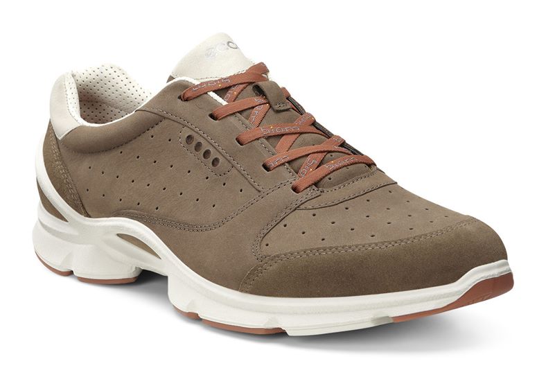 BIOM EVO TRAINER M (Brown)