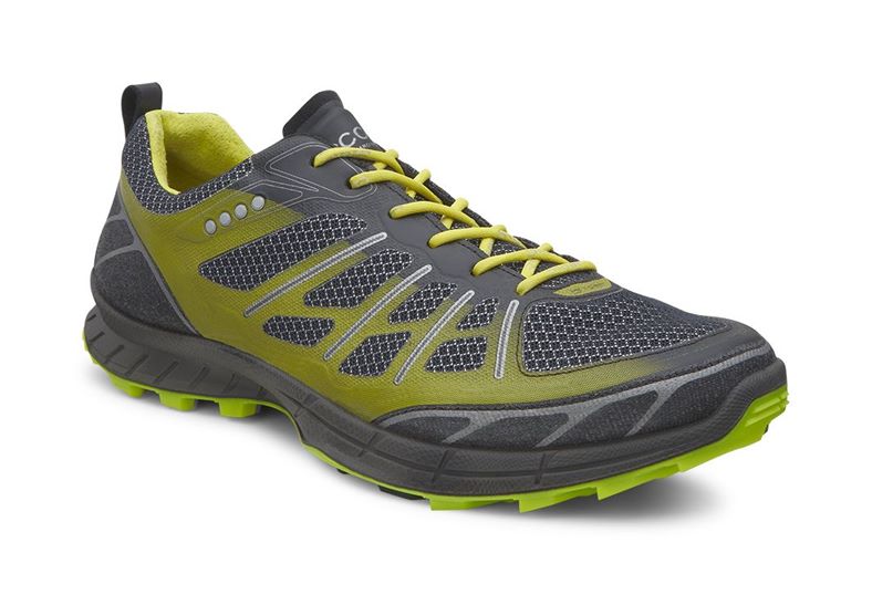  Biom Trail Fl M