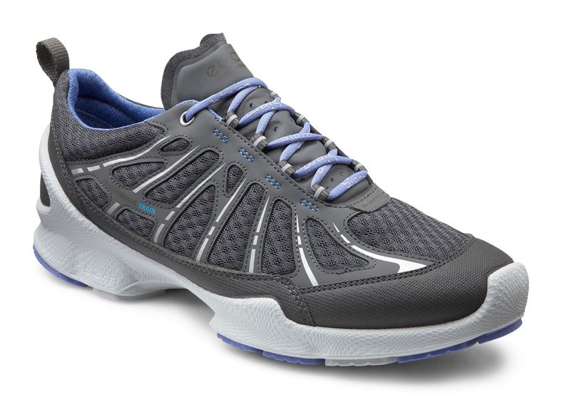 BIOM TRAINER W (Grey)