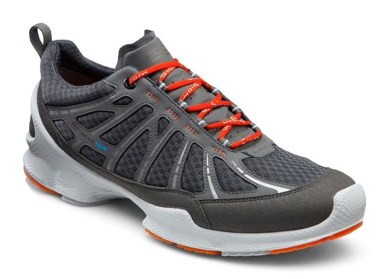 BIOM TRAINER M (Grey)