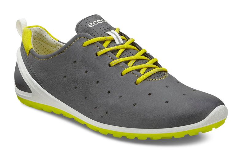 BIOM LITE W (Grey)