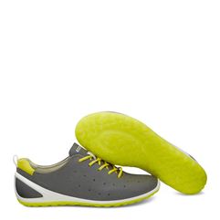 BIOM LITE W