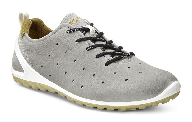 BIOM LITE MENS (Grey)