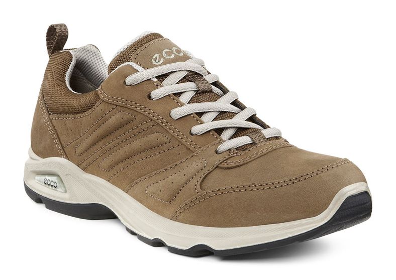LIGHT III LADIES (Brown)