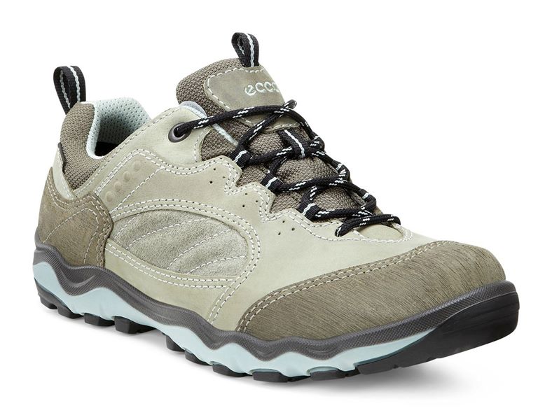 ULTERRA W (Grey)
