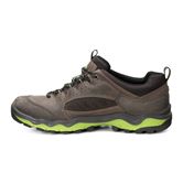 ULTERRA M (Brown)