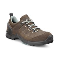 BIOM TERRAIN W (Brown)