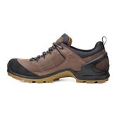 BIOM TERRAIN M (Brown)