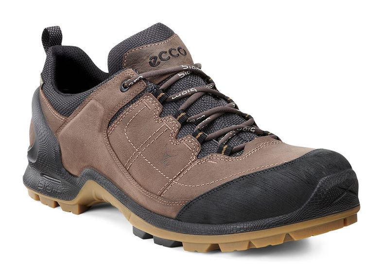 BIOM TERRAIN M (Brown)