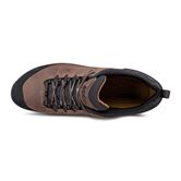 BIOM TERRAIN M (Brown)