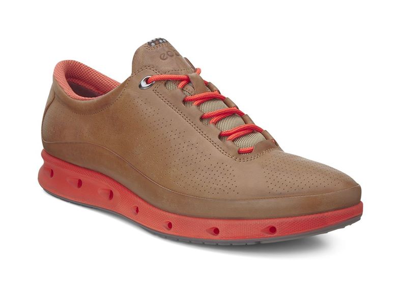 ECCO O2 (Brown)