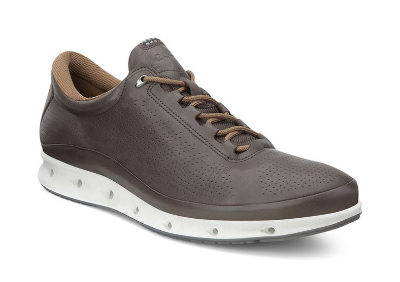 ECCO O2 (Brown)