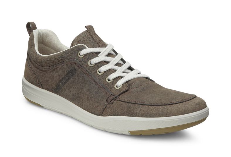 ELDON (Brown)