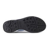BIOM HYBRID WALK M (Blue)