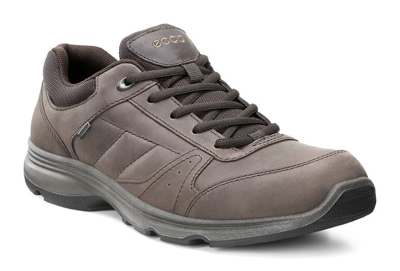  Light IV M (Brown)