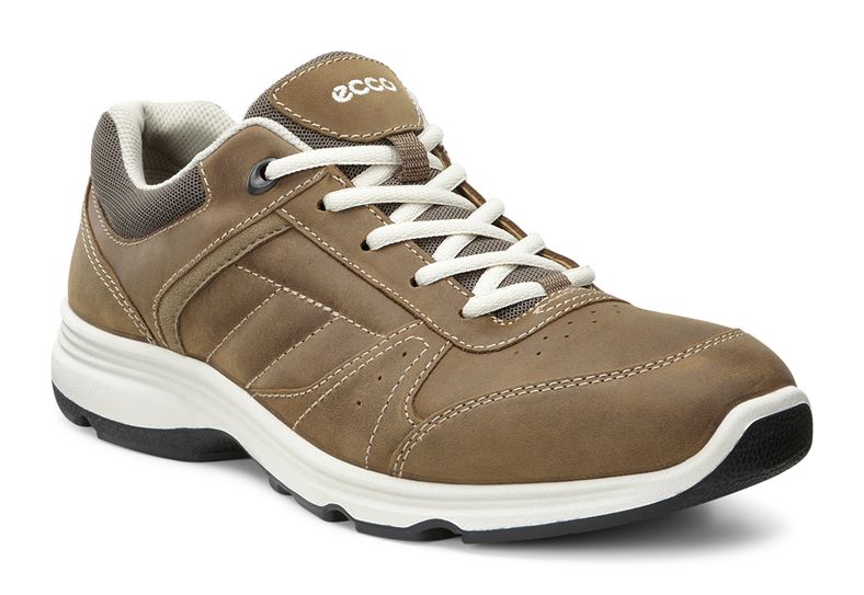  Light IV M (Brown)