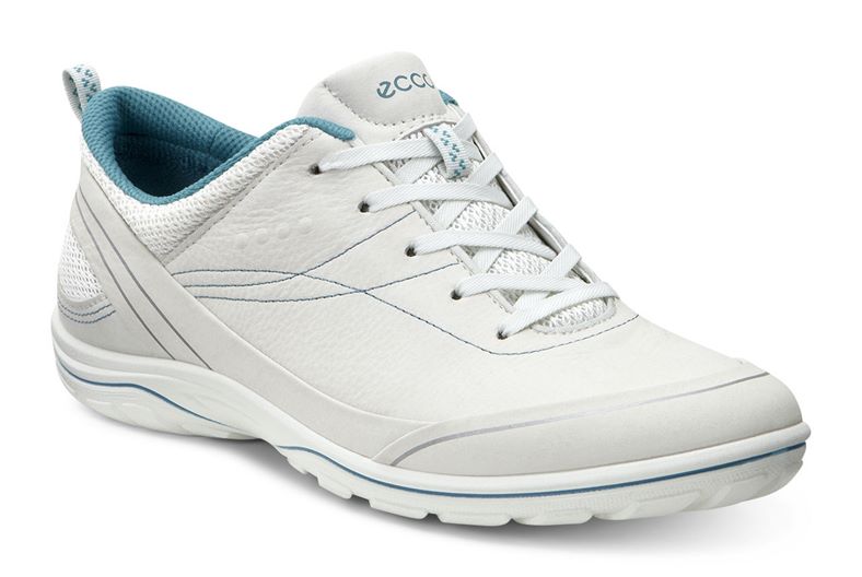  Arizona (White)