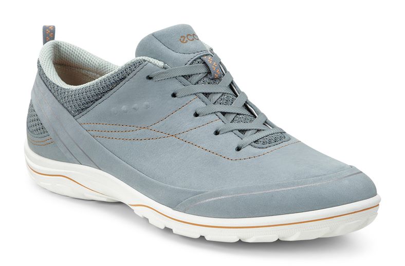  Arizona (Grey)