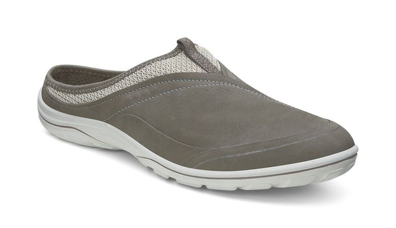 ARIZONA (Brown)