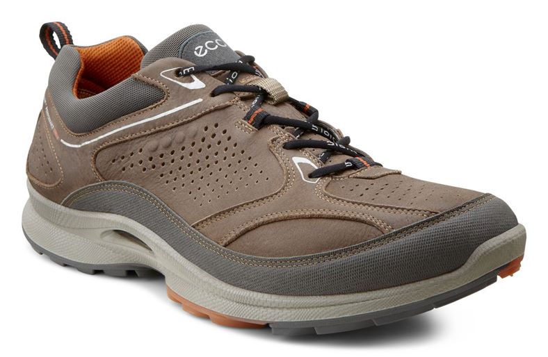 BIOM ULTRA MEN (Brown)