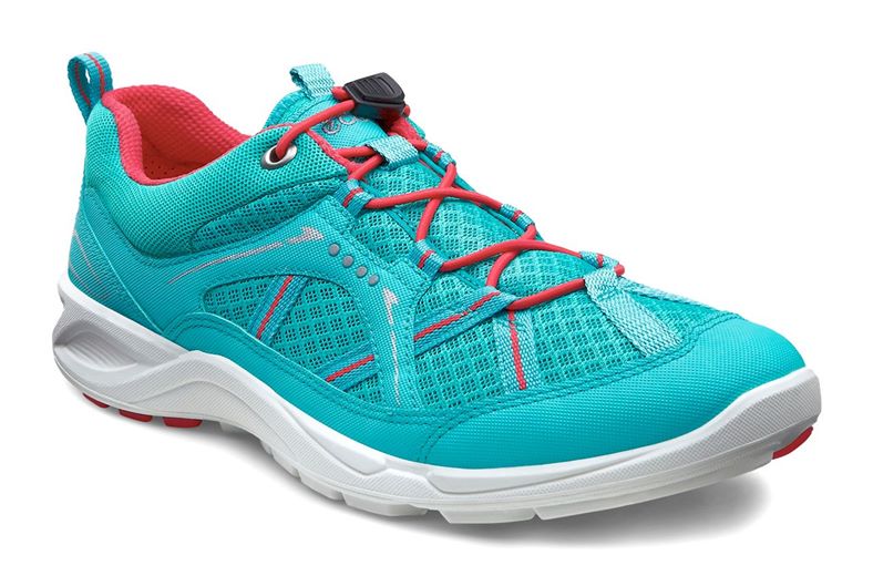 TERRACRUISE LADIES (Blue)