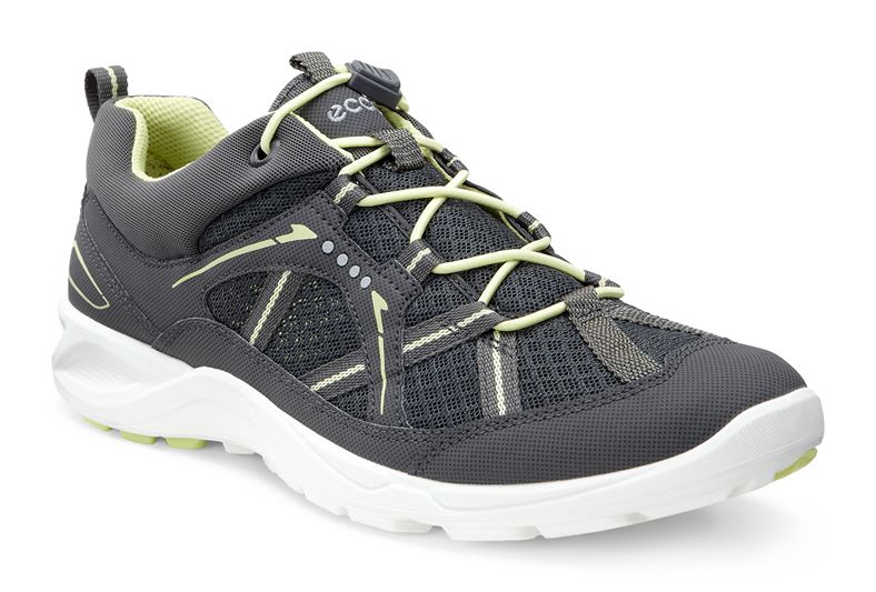  Terracruise W (Grey)