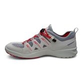 TERRACRUISE W (White)