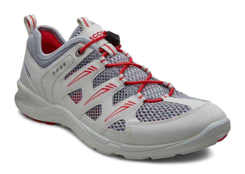 TERRACRUISE W (White)