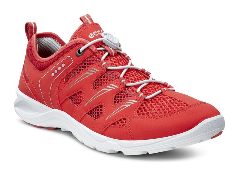  Terracruise W (Red)