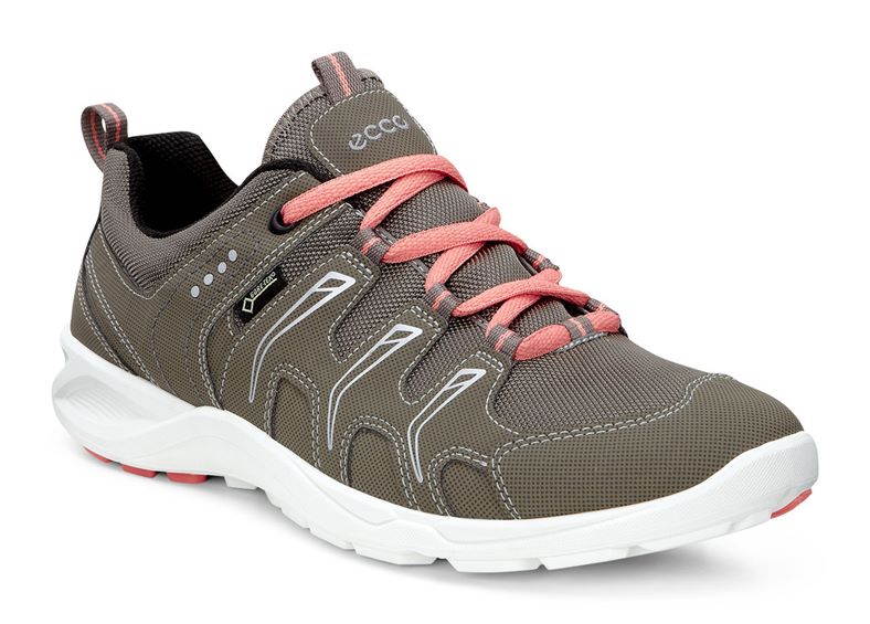  Terracruise W (Grey)