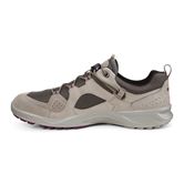 TERRACRUISE W (Brown)