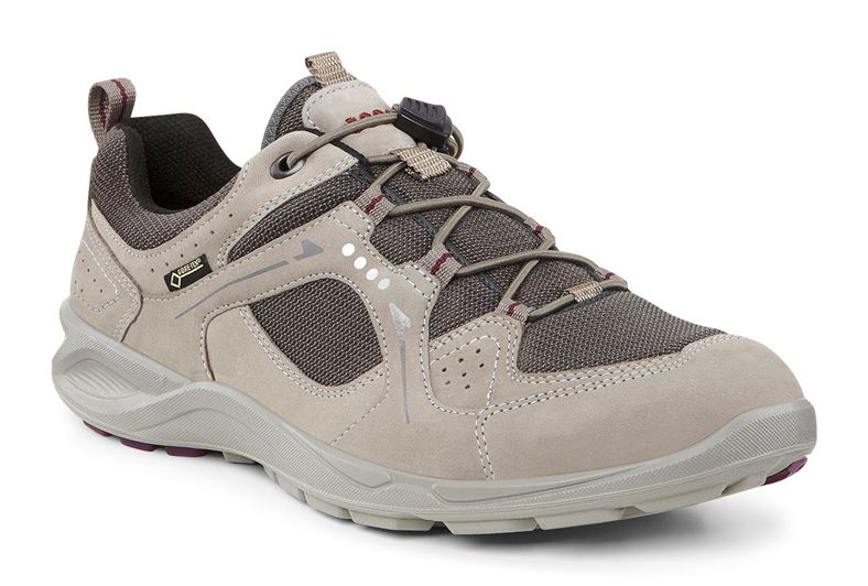 TERRACRUISE W (Brown)