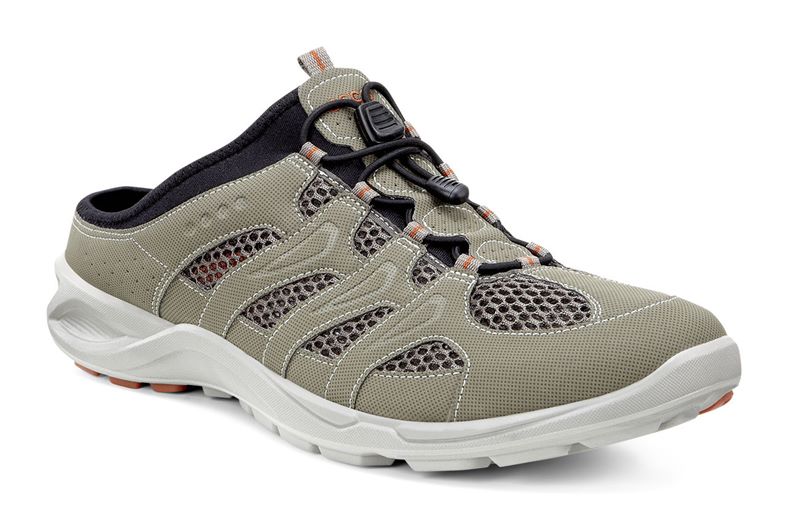  Terracruise M (Brown)