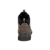 XPEDITION II M (Grey)