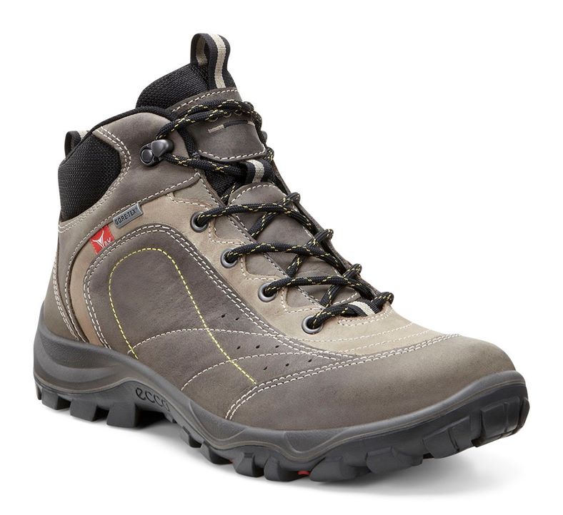 XPEDITION II M (Grey)