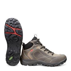 XPEDITION II M