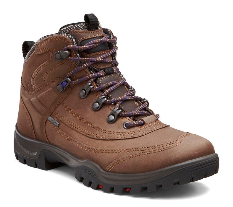 XPEDITION III W (Brown)
