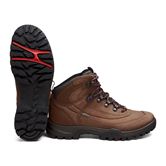 XPEDITION III W (Brown)