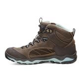 ULTERRA LADIES (Brown)