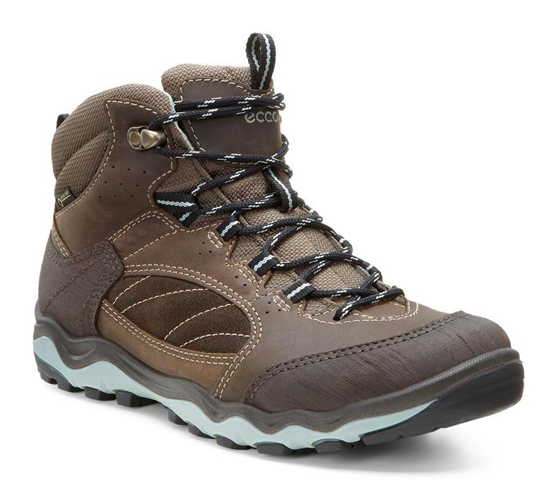 ULTERRA LADIES (Brown)