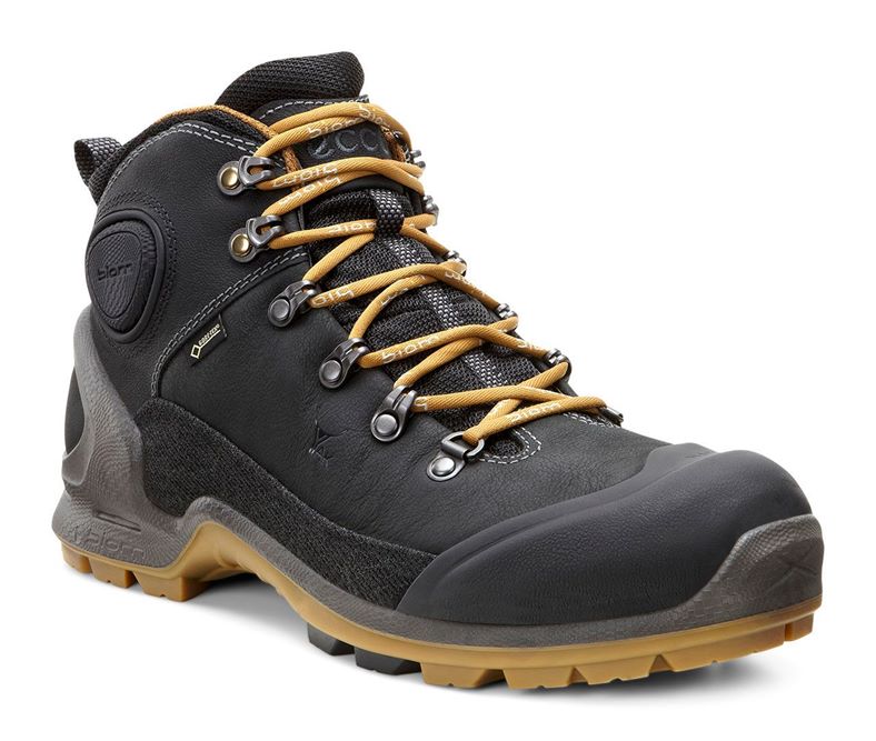BIOM TERRAIN M (Black)