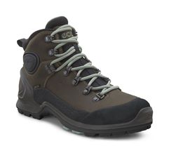  Biom Terrain W