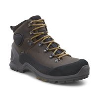  Biom Terrain M