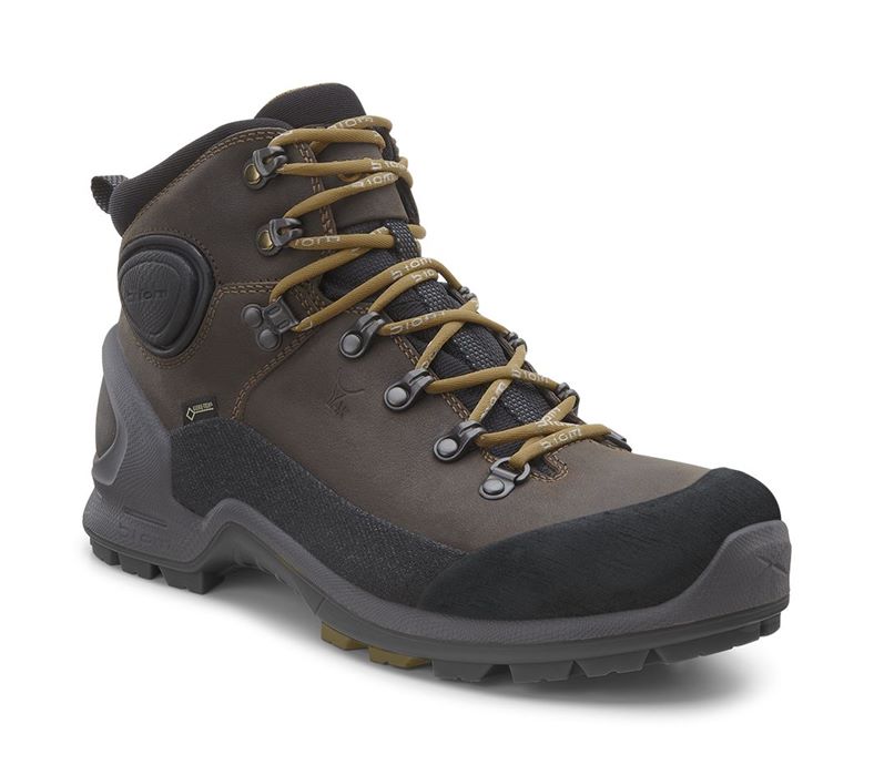  Biom Terrain M (Brown)