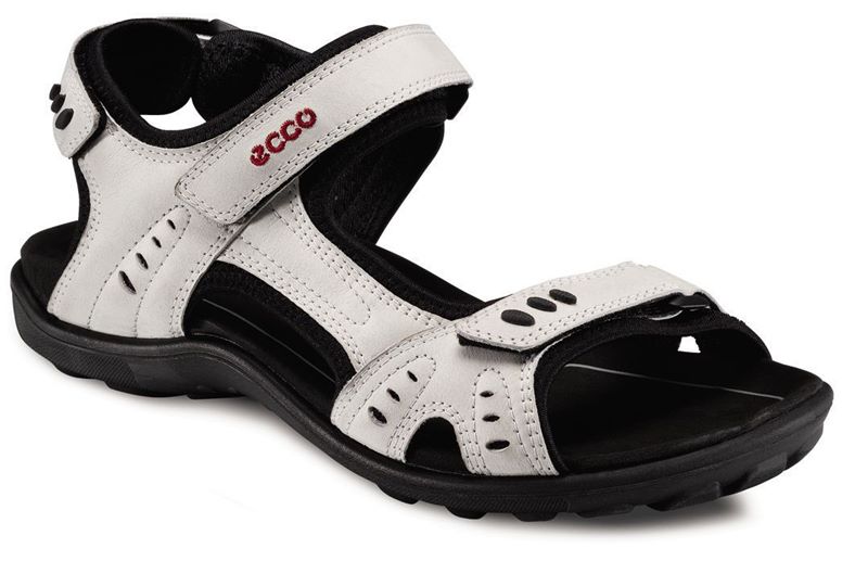 ALL TERRAIN LITE W