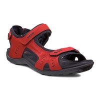 ALL TERRAIN LITE W