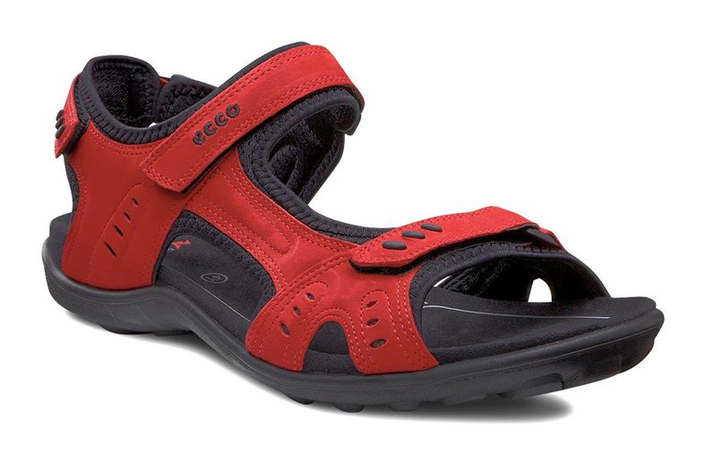 ALL TERRAIN LITE W (Red)