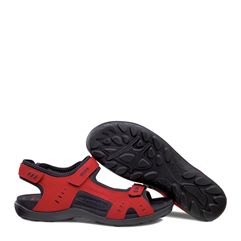 ALL TERRAIN LITE W
